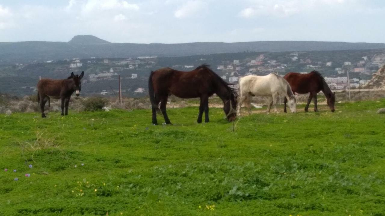 New Country House Salvia Βίλα Σητεία Εξωτερικό φωτογραφία